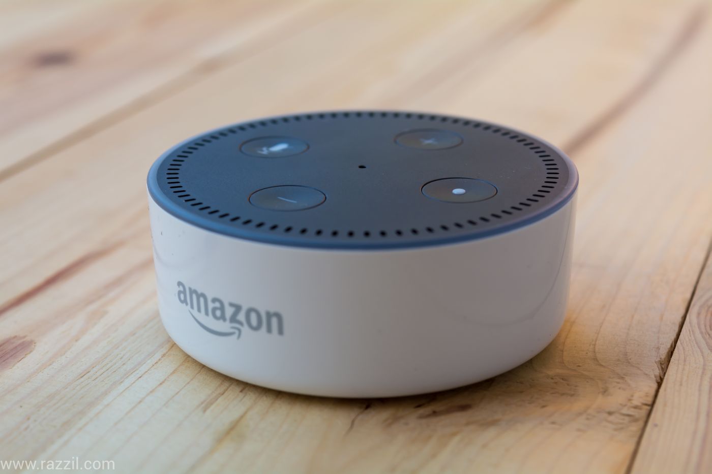 Amazon Echo Dot India Review